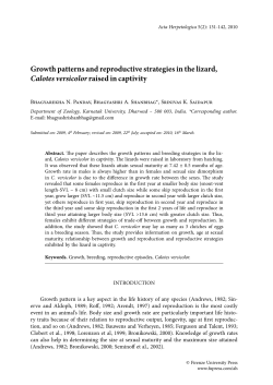Growth patterns and reproductive strategies in the