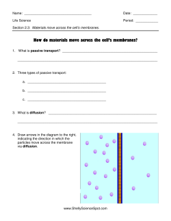 How do materials move across the cell`s membranes?