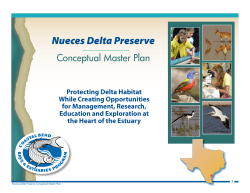 Nueces Delta Preserve