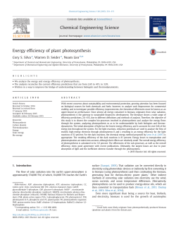 Exergy efficiency of plant photosynthesis