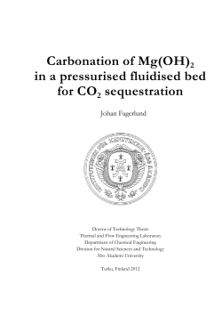 Carbonation of Mg(OH)2 in a pressurised fluidised bed for
