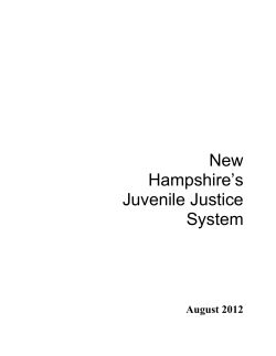 New Hampshire`s Juvenile Justice System
