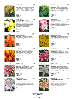 Scott`s Nursery Ltd