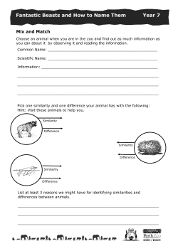 Fantastic Beasts and How to Name Them Year 7