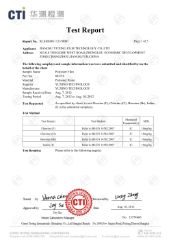 Test Report