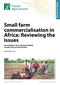 Small farm commercialisation in Africa: Reviewing the issues