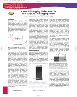 Forum 13-4 - Epicentre
