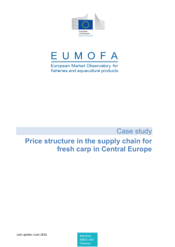 Case study Price structure in the supply chain for fresh carp in