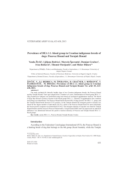 Prevalence of DEA 1.1. blood group in Croatian indigenous breeds