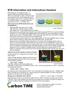 BTB Information and Instructions Handout