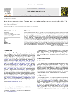 Simultaneous detection of stone fruit tree viruses by one