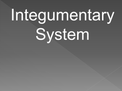 Untitled - St. Clair Schools