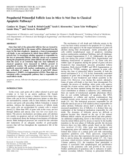 Prepubertal Primordial Follicle Loss in Mice Is Not Due to Classical