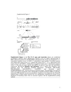 Supplemental Figures 1