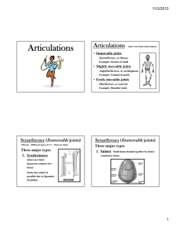 Articulations