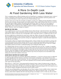 A More In-Depth Look At Food Gardening With Less Water