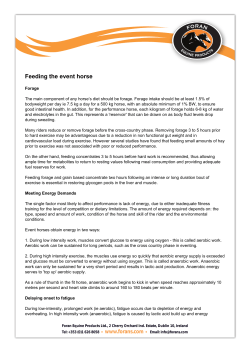 article as PDF