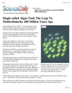 Single-celled Algae Took The Leap To Multicellularity 200 Million