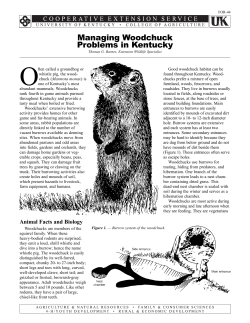 For-44: Managing Woodchuck Problems in Kentucky