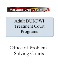 Adult DUI/DWI Treatment Court Programs