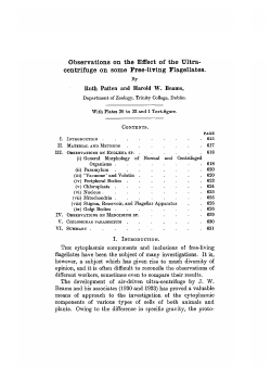 Observations on the Effect of the Ultra