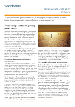 ENVIRONMENTAL CASE STUDY Wind energy Wind energy: the
