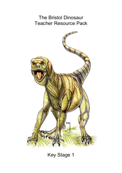 Palaeontology Key Stage 1 - Bristol Dinosaur Project