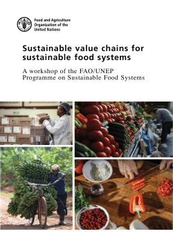 Sustainable value chains for sustainable food systems (workshop