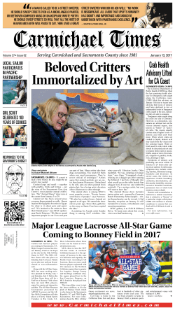 Carmichael Times - Sandie Zang Art