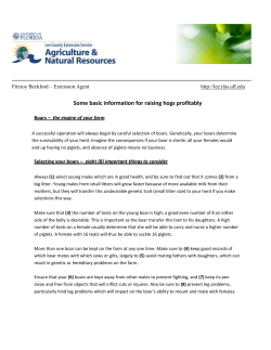 Some basic information for raising hogs profitably