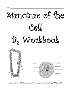 B2 workbook