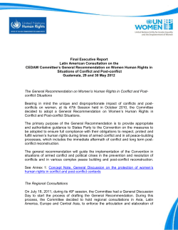 Latin American Consultation on the CEDAW Committee`s