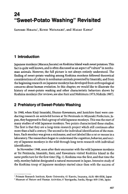 Sweet-Potato Washing" Revisited