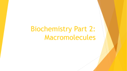 Biochemistry Part 2: Macromolecules