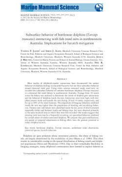 Subsurface behavior of bottlenose dolphins (Tursiops