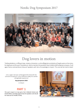 Dog lovers in motion