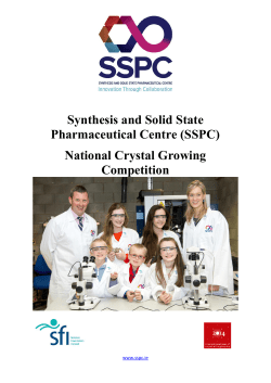 information - Synthesis and Solid State Pharmaceutical Centre