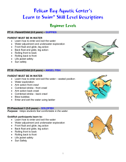 Learn to Swim Skills Description