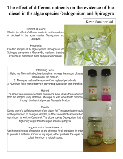 The effect of different nutrients on the evidence of bio