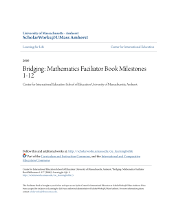 Bridging: Mathematics Faciliator Book Milestones 1-12