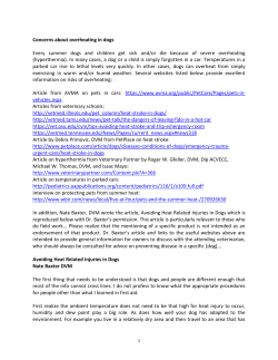 Concerns about overheating in dogs Every summer dogs and