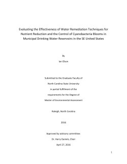Evaluating the Effectiveness of Water Remediation Techniques for