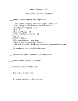 Shurley Grammar Level 3 Chapter 6 Q/A Flow Practice Sentences