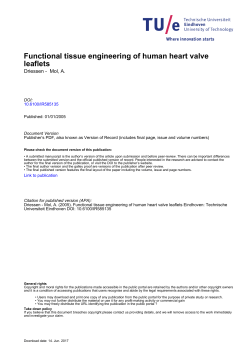 Functional tissue engineering of human heart valve