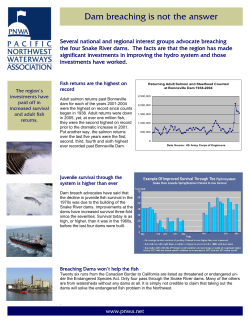 Dam Breaching is Not The Answer