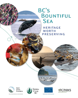 BC`s Bountiful Sea - David Suzuki Foundation