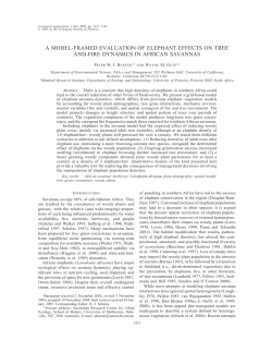 a model-framed evaluation of elephant effects on tree