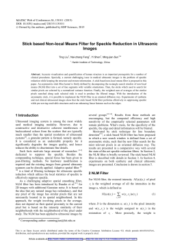 Stick based Non-local Means Filter for Speckle Reduction in