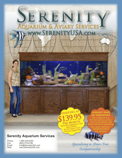 Serenity Aquarium Services