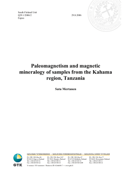 Paleomagnetism and magnetic mineralogy of samples from the
